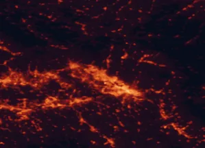 Satellite night-light map of the 50 km around Prato, with Florence, Pistoia and Sesto Fiorentino marked