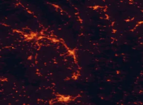 Satellite night-light map of the 50 km around Foligno, with Perugia, Terni and Bastia umbra marked
