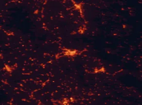 Satellite night-light map of the 50 km around Terni, with Rieti, Foligno and Viterbo marked
