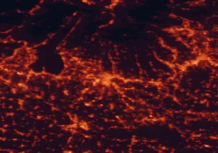 Satellite night-light map of the 50 km around Verona, with Vicenza, San Giovanni Lupatoto and Mantua marked