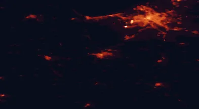 Satellite night-light map of the 50 km around Jelgava, with Riga, Jūrmala and Mārupe marked