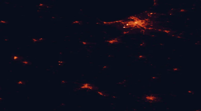 Satellite night-light map of the 100 km around Vilce Nature Park, with Riga, Šiauliai and Jelgava marked