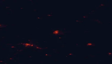 Satellite night-light map of the 50 km around Taurage, with Sovetsk, Neman and Jurbarkas marked