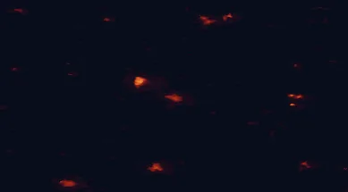 Satellite night-light map of the 50 km around Mazeikiai, with Telsiai, Plunge and Naujoji Akmene marked