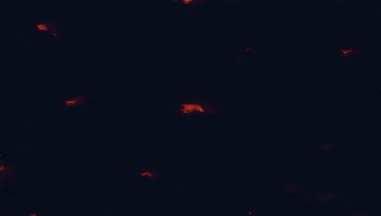 Satellite night-light map of the 50 km around Utena, with Anykščiai, Molėtai and Kupiskis marked