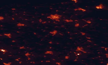 Satellite night-light map of the 50 km around Assen, with Groningen, Emmen and Drachten marked