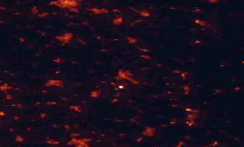 Satellite night-light map of the 50 km around Emmen, with Assen, Hardenberg and Almelo marked