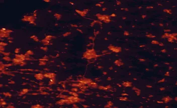 Satellite night-light map of the 50 km around Apeldoorn, with Arnhem, Deventer and Nijmegen marked
