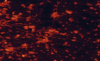 Satellite night-light map of the 50 km around Arnhem, with Nijmegen, Apeldoorn and Amersfoort marked