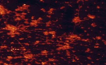 Satellite night-light map of the 50 km around Ede, with Utrecht, Arnhem and Nijmegen marked