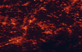 Satellite night-light map of the 50 km around Heerlen, with Aachen, Mönchengladbach and Maastricht marked