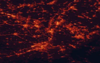 Satellite night-light map of the 50 km around Maastricht, with Aachen, Liège and Heerlen marked