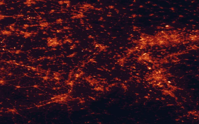 Satellite night-light map of the 100 km around Meinweg National Park, with Köln, Düsseldorf and Duisburg marked