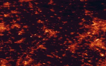 Satellite night-light map of the 50 km around Venlo, with Düsseldorf, Duisburg and Mönchengladbach marked