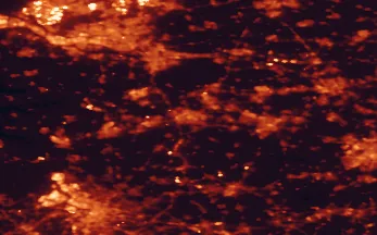 Satellite night-light map of the 50 km around Breda, with Rotterdam, Antwerp and Tilburg marked
