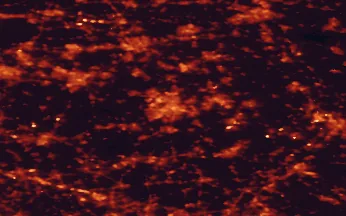 Satellite night-light map of the 50 km around Eindhoven, with Tilburg, 's-Hertogenbosch and Helmond marked