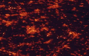 Satellite night-light map of the 50 km around Helmond, with Eindhoven, Tilburg and 's-Hertogenbosch marked