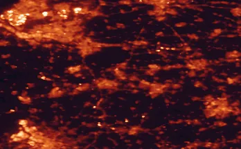Satellite night-light map of the 50 km around Oosterhout, with Rotterdam, Breda and Antwerp marked