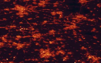Satellite night-light map of the 50 km around Oss, with Utrecht, 's-Hertogenbosch and Nijmegen marked
