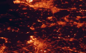 Satellite night-light map of the 50 km around Roosendaal, with Rotterdam, Antwerp and Breda marked