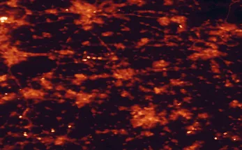 Satellite night-light map of the 50 km around 's-Hertogenbosch, with Tilburg, Utrecht and Eindhoven marked