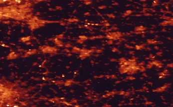 Satellite night-light map of the 50 km around Tilburg, with Rotterdam, Eindhoven and Breda marked