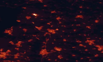 Satellite night-light map of the 50 km around Zwolle, with Apeldoorn, Deventer and Kampen marked