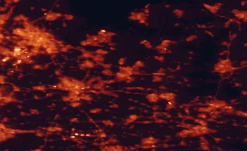 Satellite night-light map of the 50 km around Amersfoort, with Amsterdam, Utrecht and Almere Stad marked