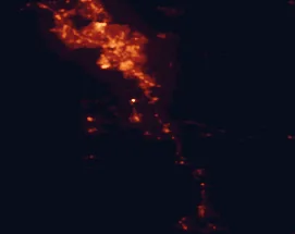 Satellite night-light map of the 50 km around Pukekohe, with Auckland, Manukau City and Papakura marked