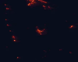 Satellite night-light map of the 50 km around Rotorua, with Tokoroa, Ngongotaha and Te Puke marked