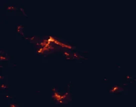 Satellite night-light map of the 50 km around Te Puke, with Tauranga, Rotorua and Bethlehem marked