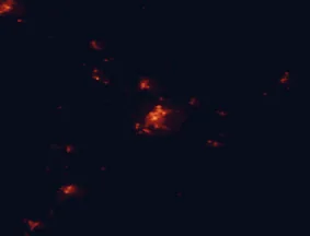 Satellite night-light map of the 50 km around Palmerston North, with Kelvin Grove, Levin and Ashhurst marked