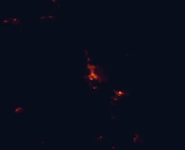 Satellite night-light map of the 50 km around Whangarei, with Onerahi, Dargaville and Kaikohe marked
