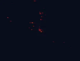 Satellite night-light map around Hawera
