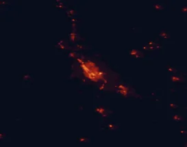 Satellite night-light map of the 50 km around Hamilton, with Cambridge, Te Awamutu and Ngaruawahia marked