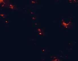 Satellite night-light map of the 50 km around Tokoroa, with Rotorua, Cambridge and Te Awamutu marked