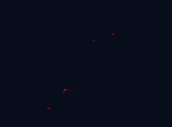 Satellite night-light map around Paparoa National Park