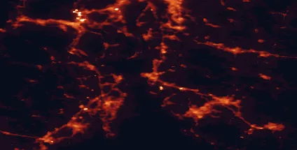 Satellite night-light map of the 50 km around Moss, with Fredrikstad, Drammen and Tønsberg marked