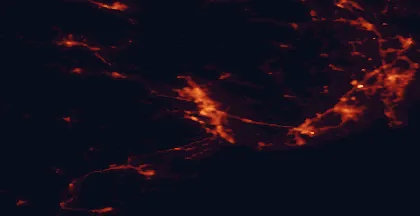 Satellite night-light map of the 50 km around Porsgrunn, with Skien, Sandefjord and Tønsberg marked