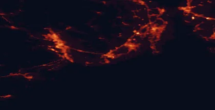 Satellite night-light map of the 50 km around Larvik, with Sandefjord, Tønsberg and Skien marked