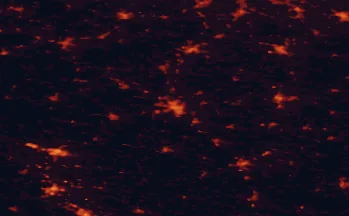 Satellite night-light map of the 50 km around Leszno, with Głogów, Kościan and Śrem marked