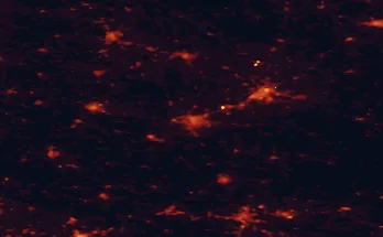 Satellite night-light map of the 50 km around Ostrów Wielkopolski, with Kalisz, Krotoszyn and Jarocin marked