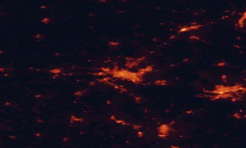 Satellite night-light map of the 50 km around Bydgoszcz, with Toruń, Fordon and Inowrocław marked