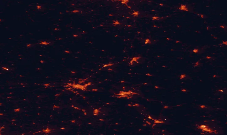Satellite night-light map of the 100 km around Chełmno Landscape Park, with Bydgoszcz, Toruń and Grudziądz marked