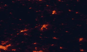 Satellite night-light map of the 50 km around Grudziądz, with Fordon, Kwidzyn and Świecie marked