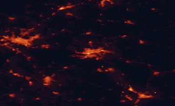 Satellite night-light map of the 50 km around Toruń, with Bydgoszcz, Włocławek and Inowrocław marked
