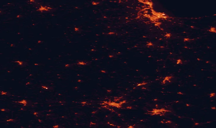 Satellite night-light map of the 100 km around Tuchola Landscape Park, with Gdańsk, Bydgoszcz and Gdynia marked