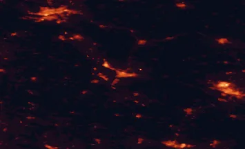 Satellite night-light map of the 50 km around Włocławek, with Toruń, Płock and Kutno marked