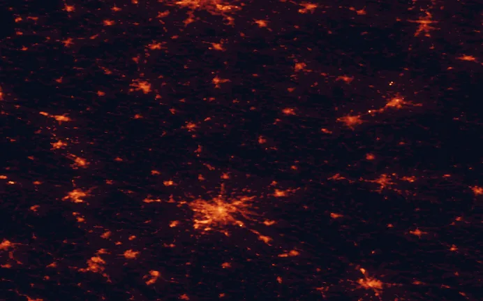 Satellite night-light map of the 100 km around Barycz Valley Landscape Park, with Wrocław, Kalisz and Legnica marked