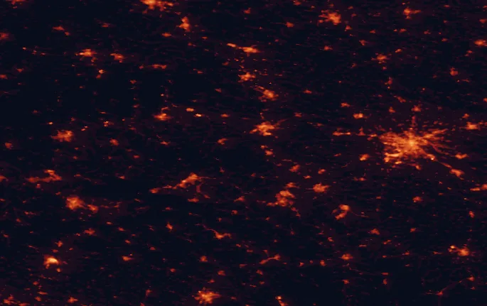Satellite night-light map of the 100 km around Chełmy Landscape Park, with Wrocław, Legnica and Wałbrzych marked